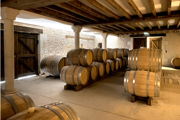 From Paris: Private Sancerre Wine Tour W 10 Tastings & Lunch - Expert Guidance