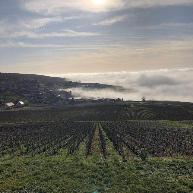 From Paris: Reims and Champagne Tasting Full-Day Tour - Important Information