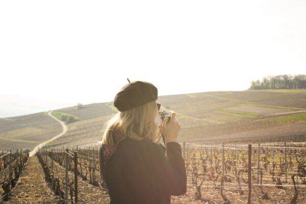 From Paris: Reims and Champagne Tasting Full-Day Tour - The Sum Up