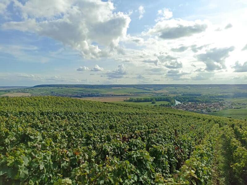 From Paris: Reims Cathedral, Champagne Cellar, and Tasting - What’s Included and What’s Not