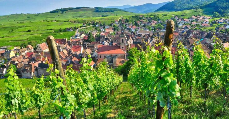 From Paris: Small-Group Champagne Day Trip With Six Tastings - Booking Information