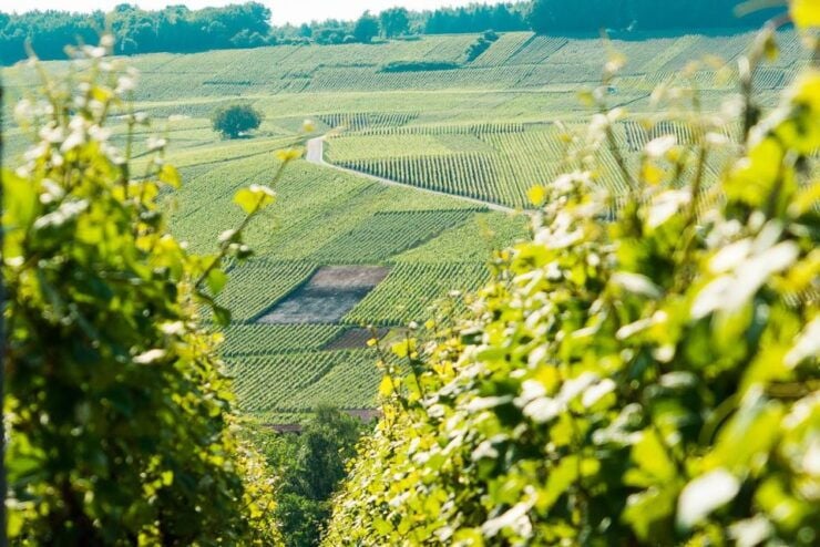From Paris: Small-Group Champagne Day Trip With Six Tastings - Highlights of the Trip