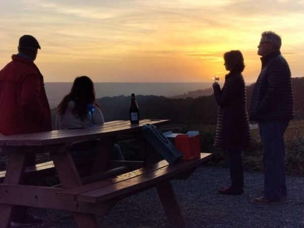 From Paris: Small-Group Champagne Tour With 3-Course Lunch - Common Questions