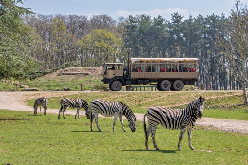 From Paris: Thoiry Park Safari and Castle Tour - Overview of the Thoiry Park Safari and Château Tour