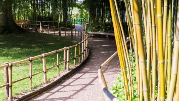 From Paris: Versailles and Giverny Full-Day Trip - Common Questions