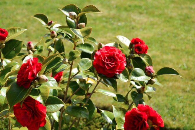 From Paris: Versailles Full-Day Guided Tour With Lunch - Customer Reviews