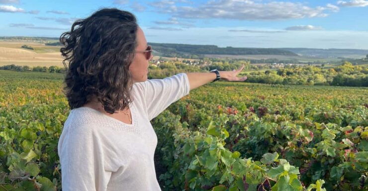 From Paris: Wine Day Trip to SANCERRE W 10 Tastings & Lunch - Detailed Itinerary