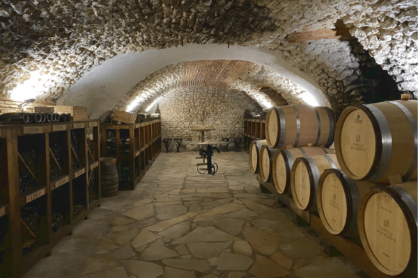 From Paris: Wine Day Trip to SANCERRE W 10 Tastings & Lunch - Booking Information