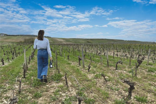 From Paris: Wine Day Trip to SANCERRE W 10 Tastings & Lunch - Questions You May Have