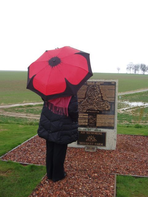 From Paris: WWI Somme Battlefields Full-Day Tour - Good To Know