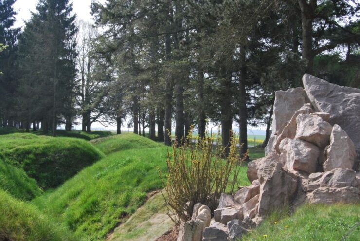 From Paris: WWI Somme Battlefields Full-Day Tour - Itinerary Highlights