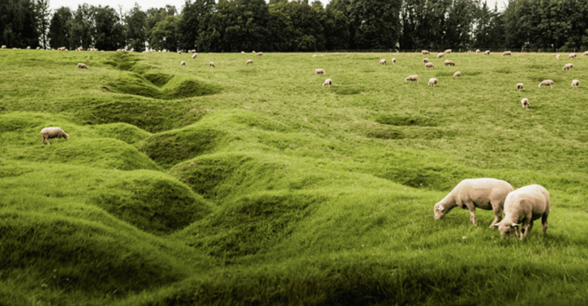 From Paris : WWI Somme Battlefields With Licensed Guide - Transportation and Logistics