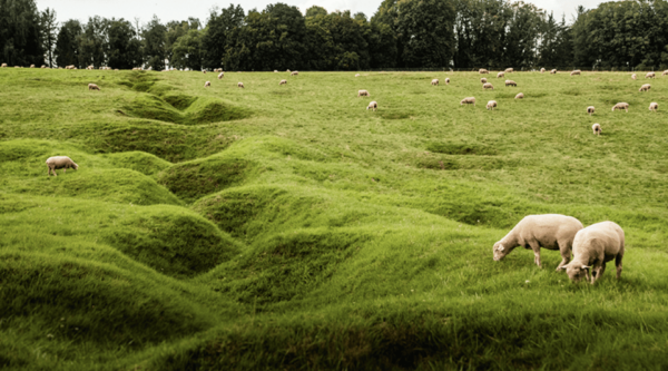 From Paris : WWI Somme Battlefields With Licensed Guide - Booking and Cancellation Policy