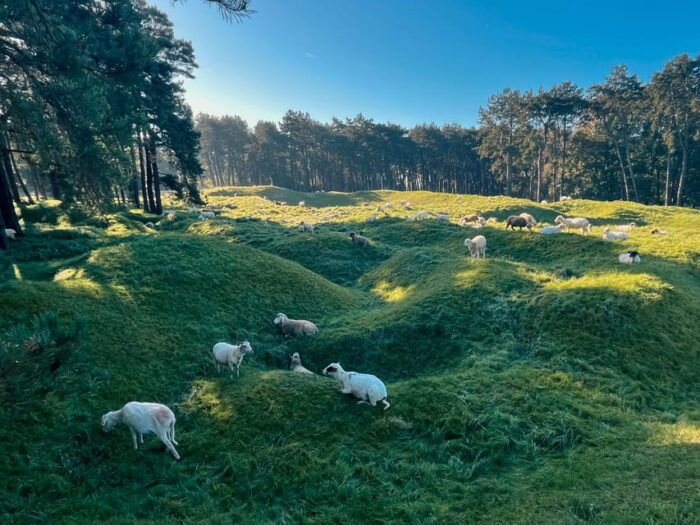From Paris : WWI Vimy Battlefields - Private Tour - Transportation and Guided Experience