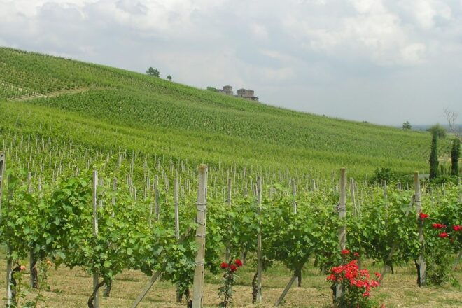 From Parma: Parmesan, Parma Ham & Balsamic Vinegar Tour - Blog Post Highlights