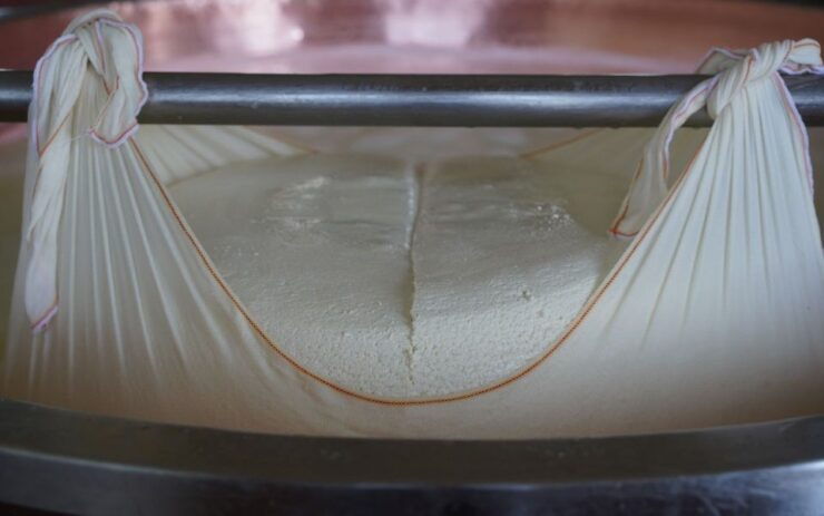From Parma: Parmigiano and Parma Ham Guided Food Tour - Experience Highlights