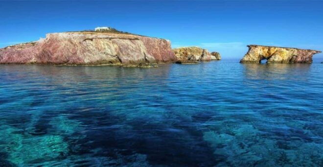 From Paros : Antiparos and Despotiko Full Day Cruise - Whats Included in the Tour