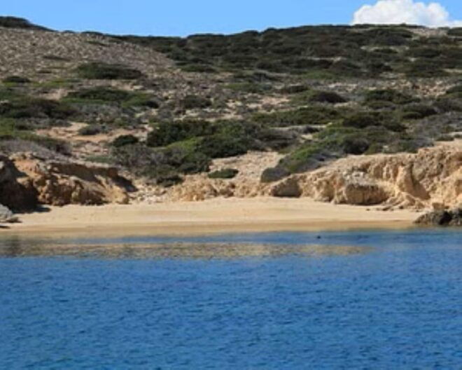 From Paros : Antiparos and Despotiko Full Day Cruise - Exclusions to Consider