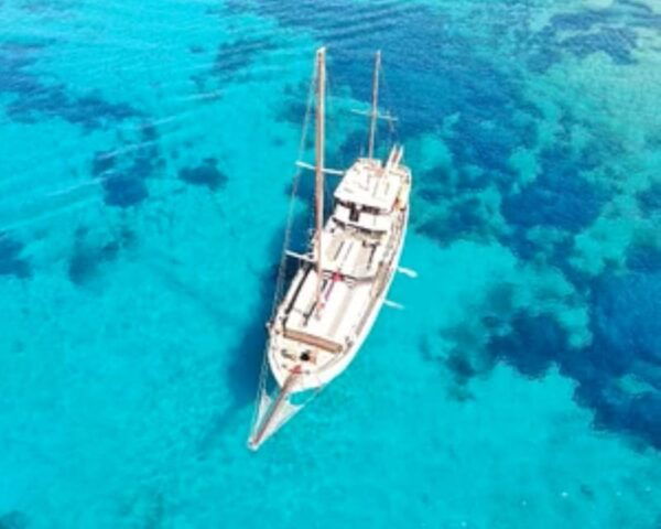 From Paros : Antiparos and Despotiko Full Day Cruise - Frequently Asked Questions