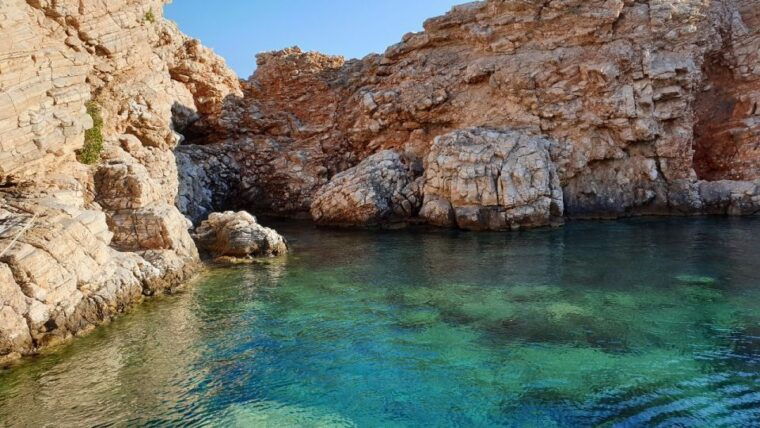 From Paros: Antiparos and Despotiko Full-Day Swim Cruise - Who Is This Tour Best For?