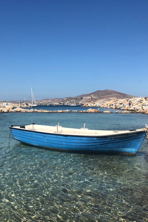 From Paros: Mykonos Full-Day Trip - Who Will Love This Tour?