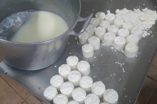 From Pasture to Plate: Immersive Goat Cheese Production - Inclusions and Exclusions