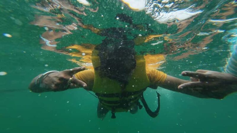 From Pattaya: Coral Island Sea Adventure Trip - An In-Depth Look at the Coral Island Sea Adventure Trip