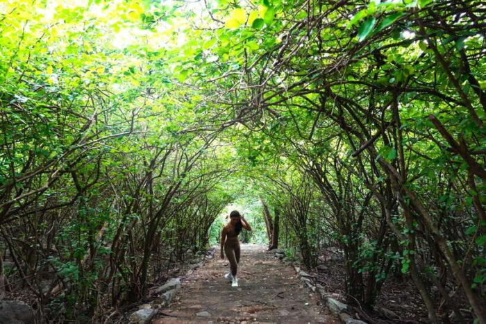 From Pattaya: Discover Koh Sichangs Hidden Gems at Si Racha - Frequently Asked Questions