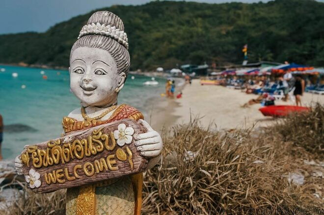 From Pattaya: Koh Larn Full-Day Tour With Water Activities - Included Amenities