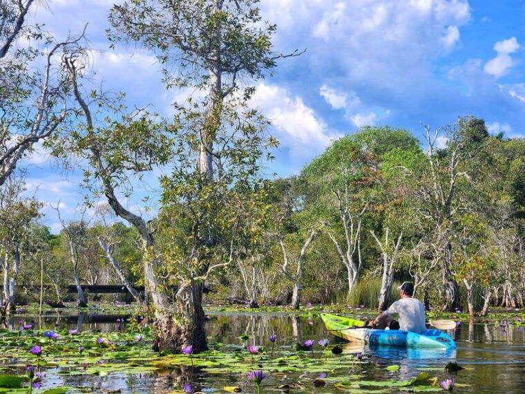 From Pattaya: Private Rayong Adventure Hike and Kayak Trip - Inclusions and Exclusions