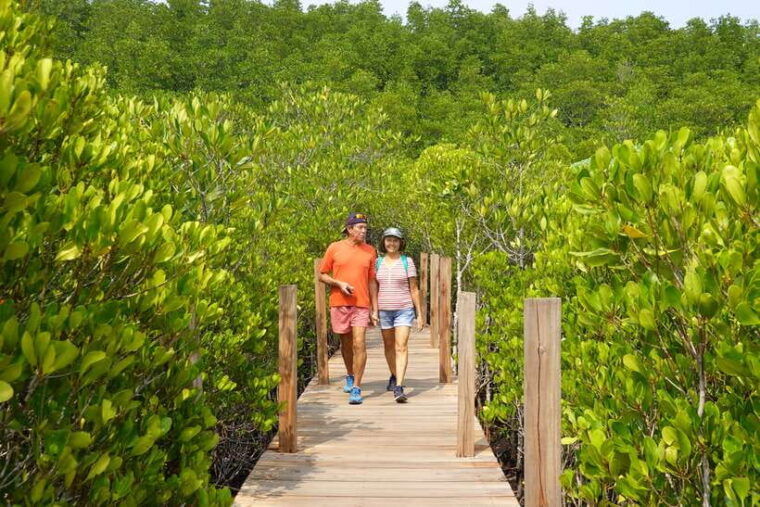 From Pattaya: Private Rayong Adventure Hike and Kayak Trip - Not Suitable For