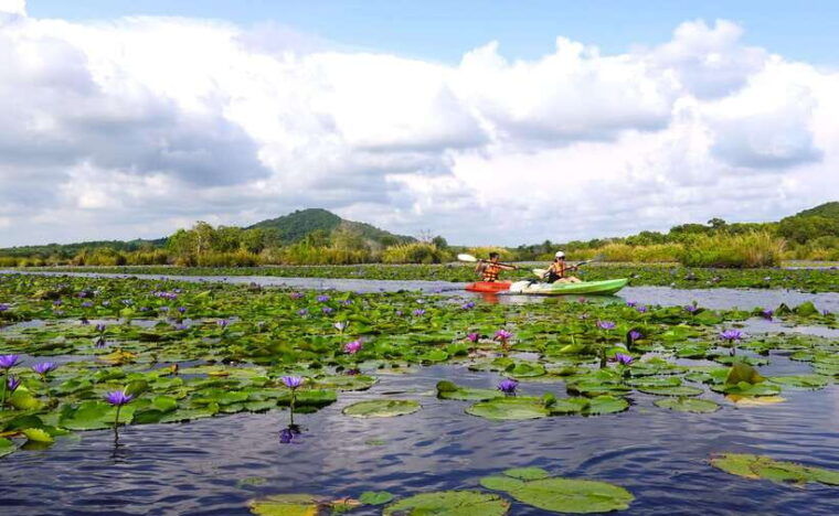 From Pattaya: Private Rayong Adventure Hike and Kayak Trip - Cancellation Policy