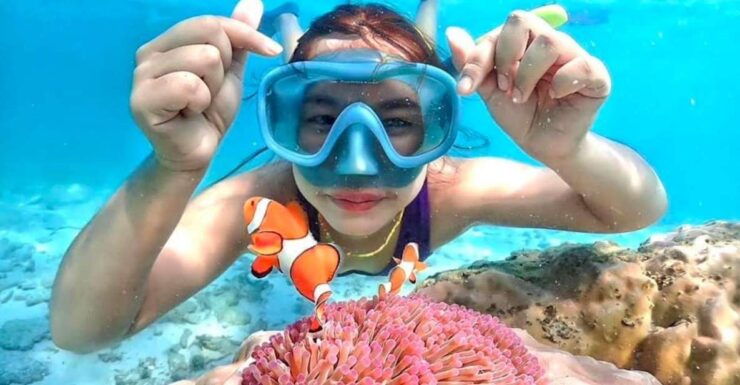From Pattaya: Private Speedboat to Nemo Island With Snorkel - Good To Know