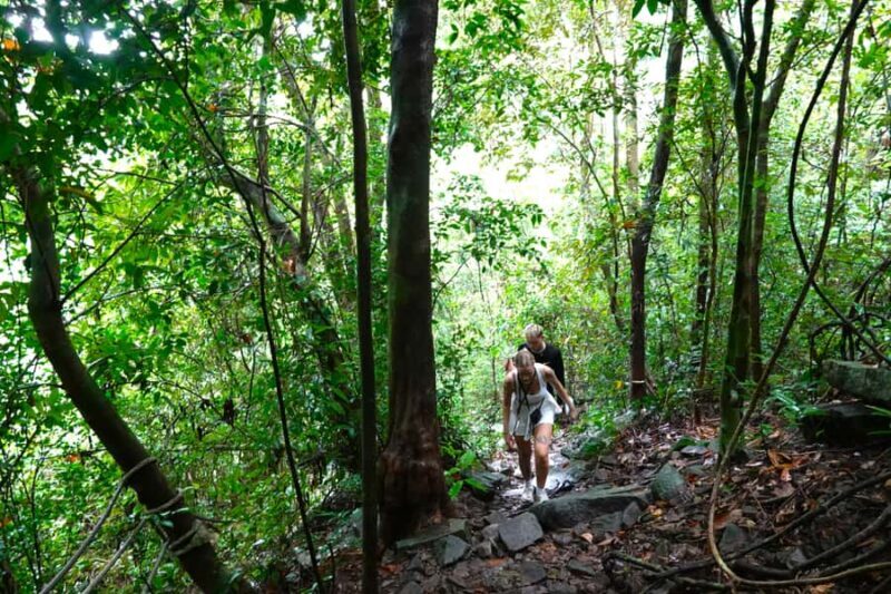 From Pattaya: Rayong Adventure Hike and Kayak Day Trip - An In-Depth Look at the Trip