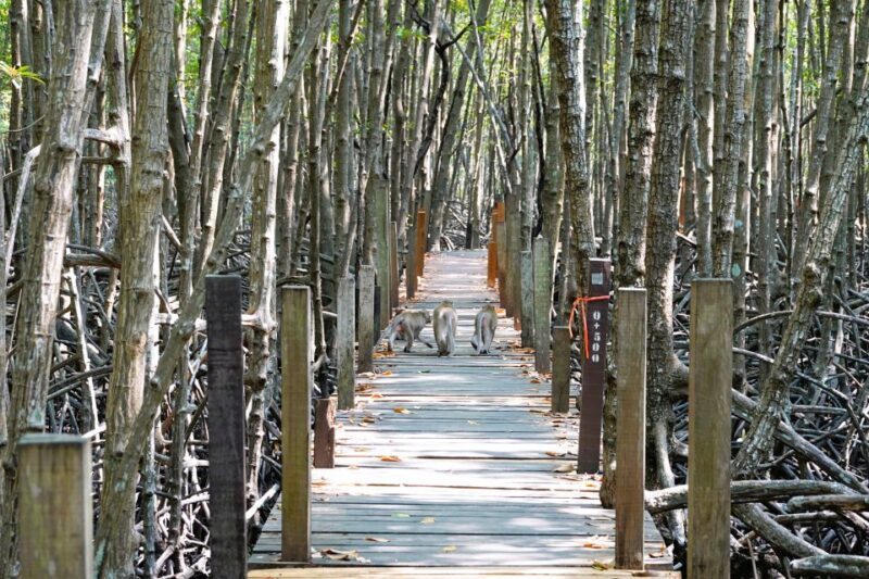 From Pattaya: Rayong Adventure Hike and Kayak Day Trip - FAQ  