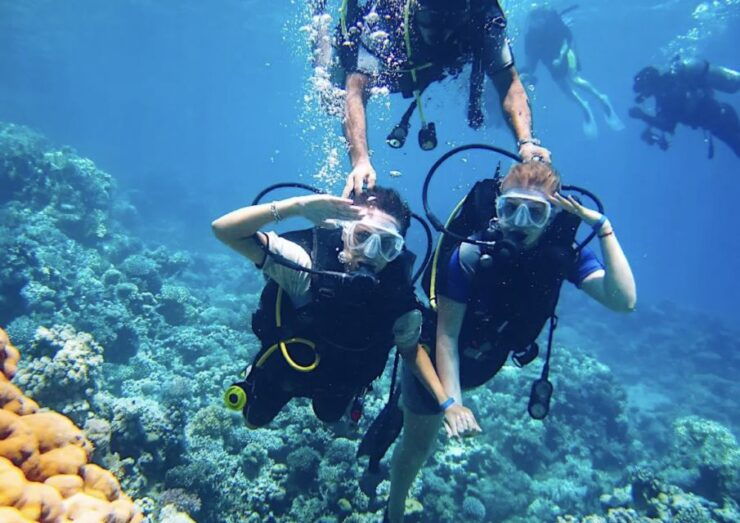 From Pattaya: Snorkeling or Beginner Scuba Diving Tour - Experience Highlights