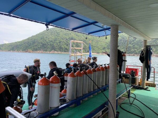 From Pattaya: Snorkeling or Beginner Scuba Diving Tour - Common Questions
