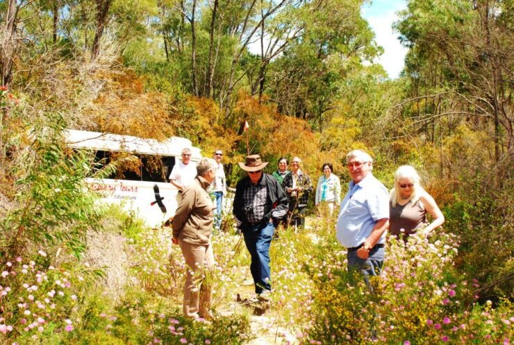From Pemberton: Half-Day Beach and Forest Eco Adventure - Booking and Reservation Process