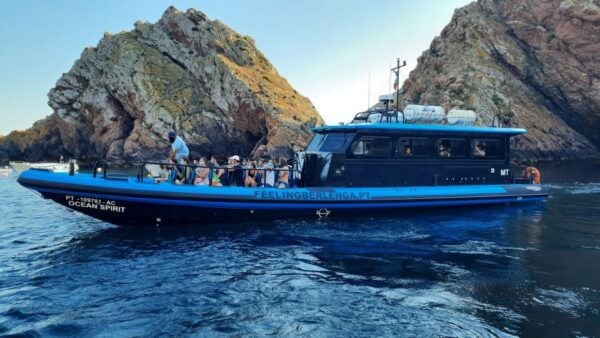From Peniche: Round-Trip Boat Tour of Berlengas Archipelago - Tips and Recommendations