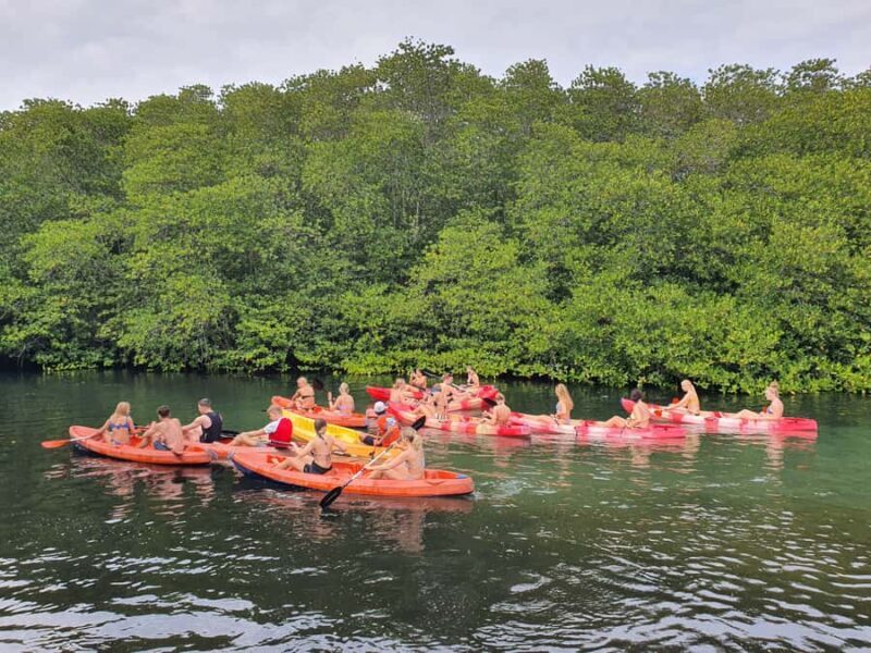 From Penida: Lembongan Tour with Kayaking & Buffet Lunch - The Breakdown: What to Expect on This Lembongan Adventure