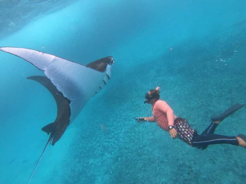 From Penida: Manta Snorkeling with Buffet Lunch and Kayaking - Good To Know