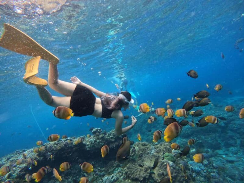 From Penida: Snorkeling with Lembongan Tour & Buffet Lunch - Diving Into the Details: What to Expect