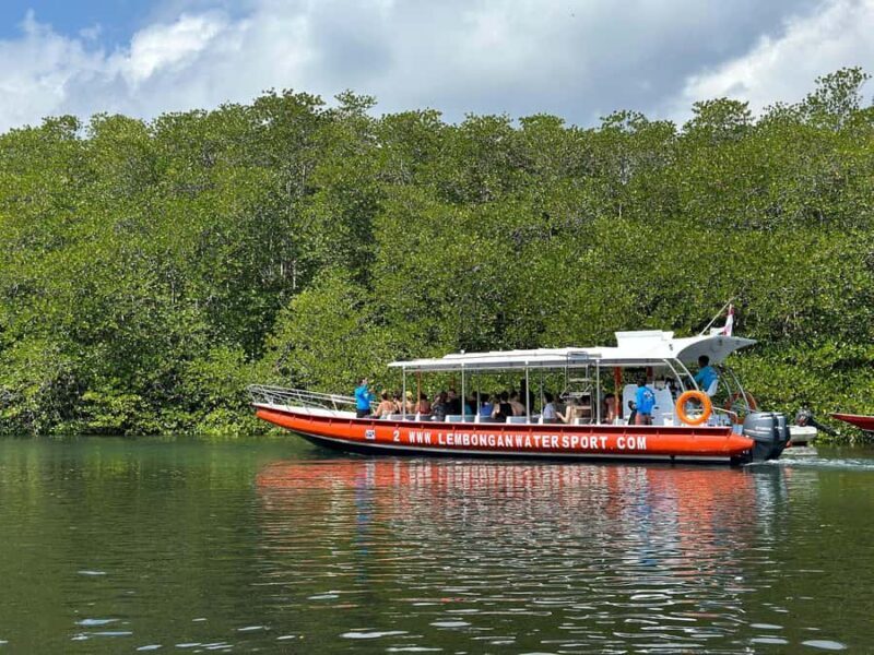 From Penida: Snorkeling with Lembongan Tour & Buffet Lunch - Who Will Love This Tour?