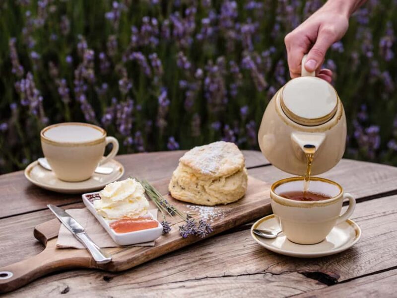 From Penneshaw - A Tasting Of Kangaroo Island - Final Thoughts