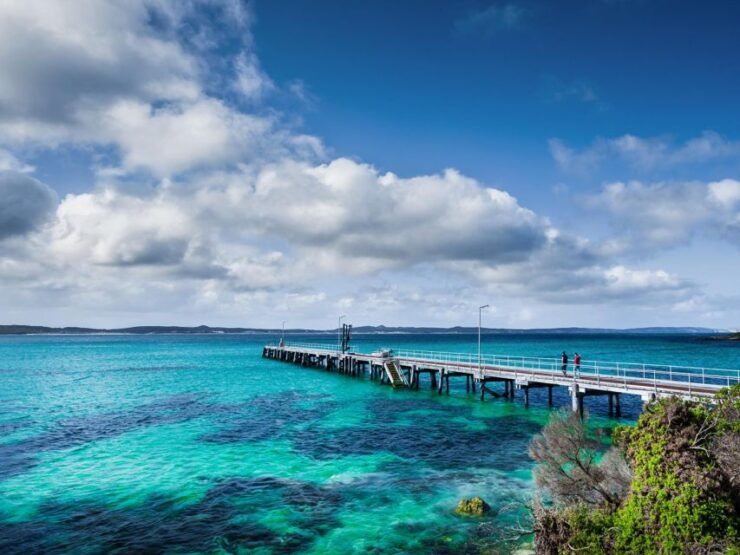 From Penneshaw: Kangaroo Island Sights and Wildlife Tour - Tour Overview