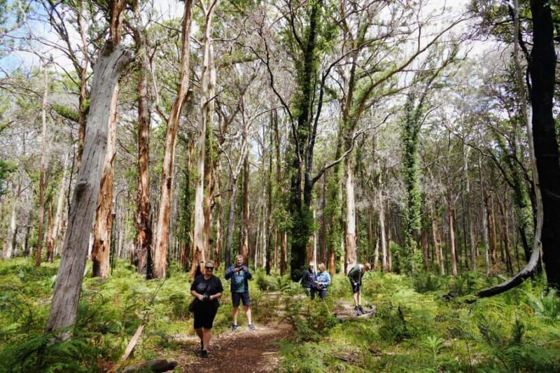 From Perth: Margaret River Region Impression Day Tour - Who Will Love This Tour?