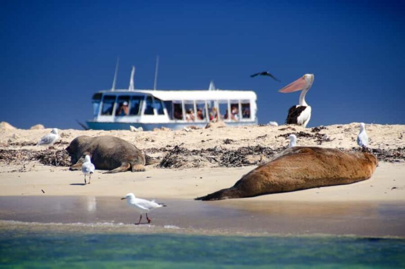 From Perth: Margaret River Wine Tour & Wildlife Cruise - An Overview of the Tour Experience