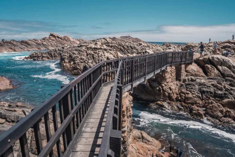 From Perth: Margaret River Wine Tour & Wildlife Cruise - Practicalities and What to Expect