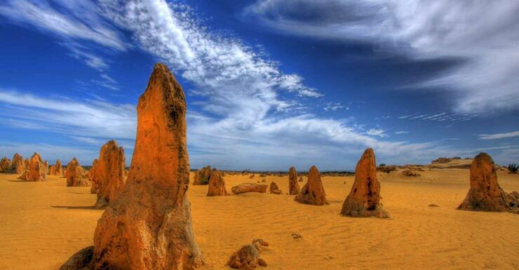 From Perth: Pinnacle Desert, Yanchep, & Swan Valley Day Tour - Tour Overview