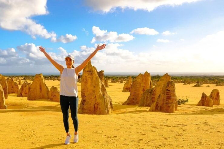 From Perth: Pinnacles, Lavender Farm and Lobster Shack Tour - Nambung National Park Visit